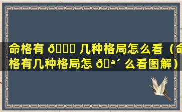 命格有 🐕 几种格局怎么看（命格有几种格局怎 🪴 么看图解）